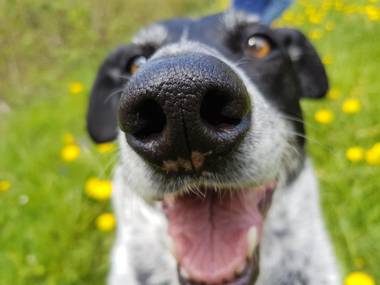 Das AHT ALPINES LIFESTYLEHOTEL ADULTS ONLY ALPENHOTEL TYROL