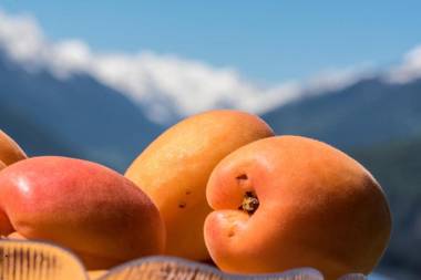 Hotel Grünwalderhof