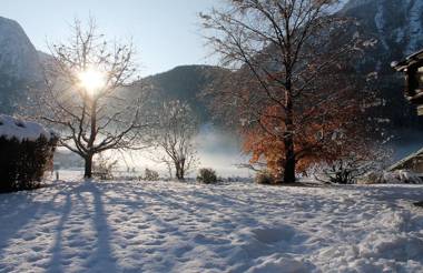 Appartements Griesserhof