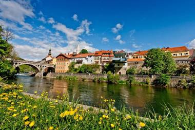 Apartment zur Brücke