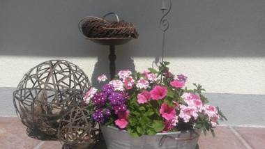 Pension Kreuzinger 5310 Tiefgraben