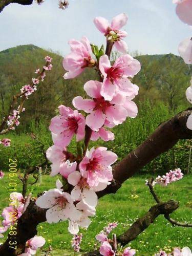 Donau-Rad-Hotel Wachauerhof