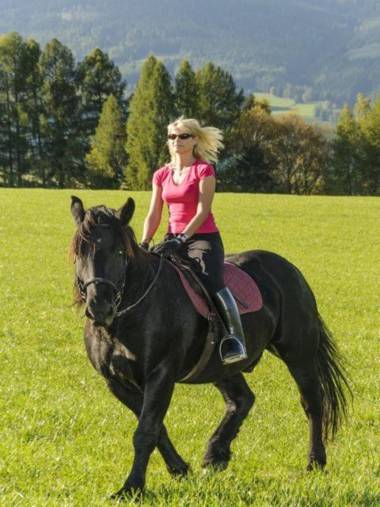 Bio-Bauernhof Samerhof