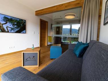 Luxury apartment in the citycenter of Mariapfarr