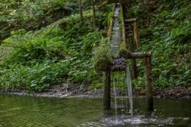 Kräuterhof Miesrigl