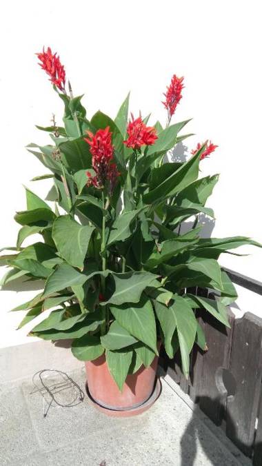 Privatzimmer Bundschuh