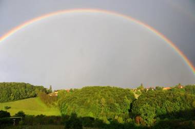Weingut Hirschmugl - Domaene am Seggauberg