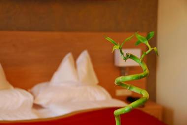 Schreiner's - Das Waldviertel Haus