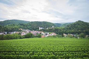 Goldberg Appartement