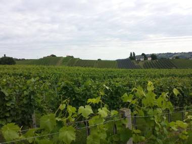 Weinhof Gästehaus Radl