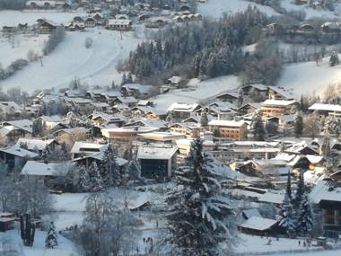 Frühstückspension-Appartementhaus Wasserer