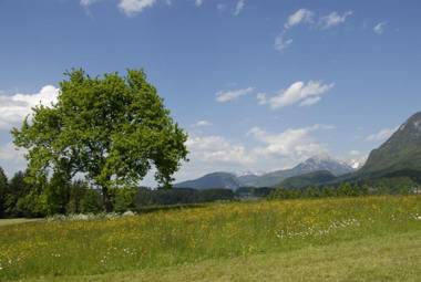 Gästehaus Bramböck