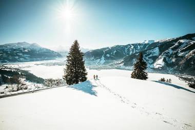 Amelies Mountain View