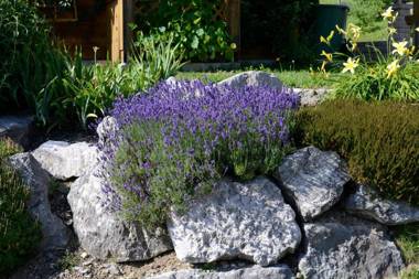 Apartments Haus am Anger - Romantik-Beauty-Wellness