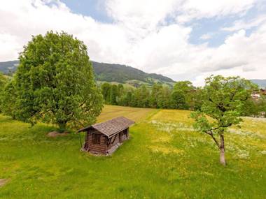 Lovely Apartment in Jochberg with Balcony