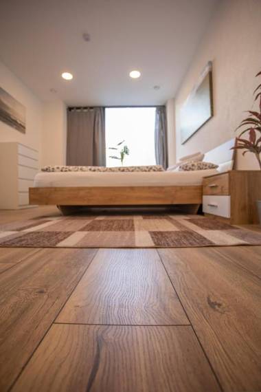 Deluxe New Innsbruck Center Apartment