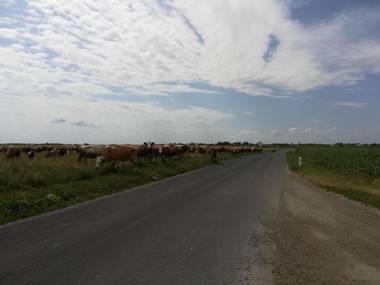 Ferienwohnungen Feldsee