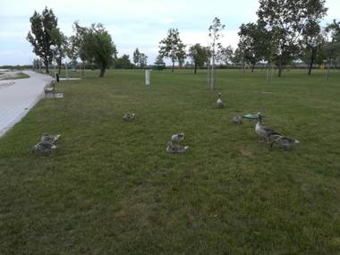 Ferienwohnungen Feldsee