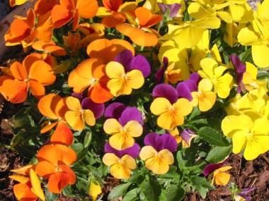 Bauernhof Unterhöfner