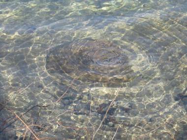 Bauernhof Unterhöfner