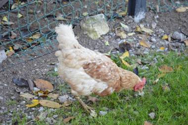 Bauernhof Unterhöfner