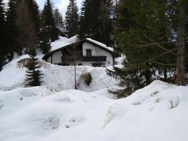 Queitly located chalet near the resort centre of Nassfeld