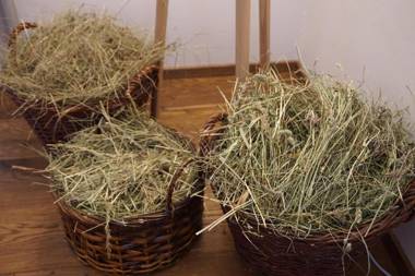 Nationalpark Lodge Grossglockner