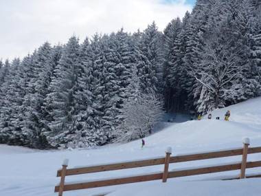 Penthouse Alpine Living direkt an der Skipiste by Schladmingurlaub