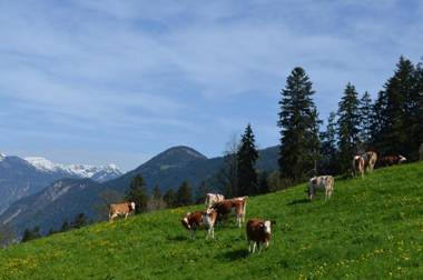 Ferienwohnung Eberharter