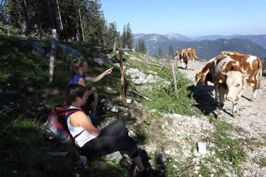 Ferienhaus Ehrenreith