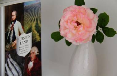 Domizil Gols Boutique - Hotel