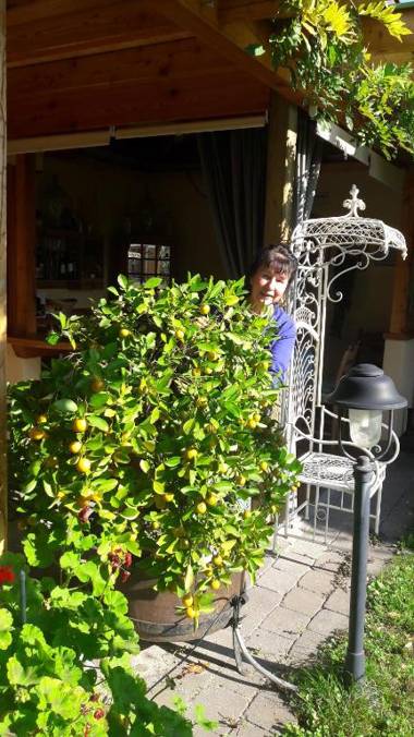 Ferienwohnungen Soravia