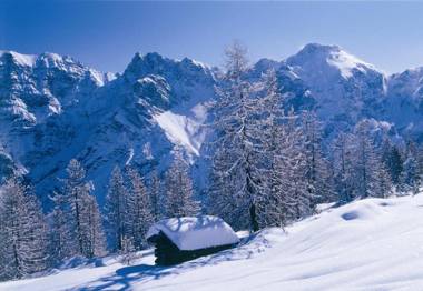 Appartement Pavillon