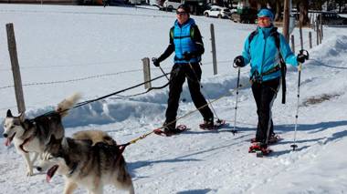 Gästehaus Karl August