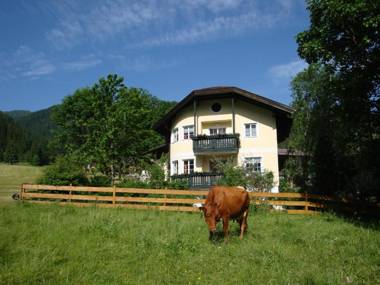 Apartments Geistlinger