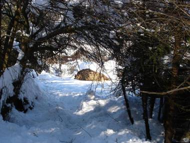 Welcome-Bienvenue-Добро пожаловать