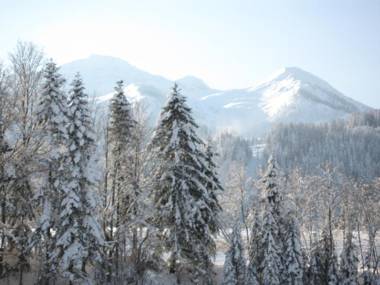 Ferienwohnung Johann Niedermoser