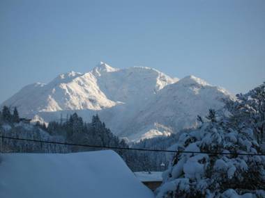 Ferienwohnung Johann Niedermoser
