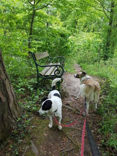 Landhaus FühlDichWohl