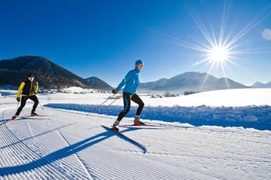 Appartements Ferienwohnungen Alpenblick