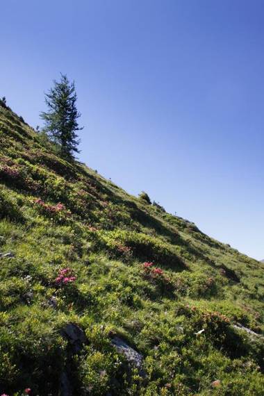 Panorama Hotel Turracher Höhe