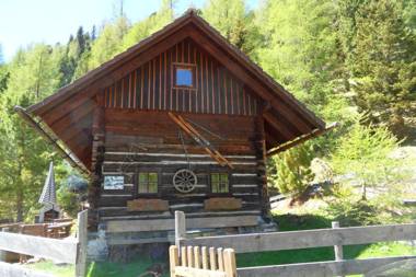 Bergheim Schmidt Almhütten im Wald Appartments an der Piste
