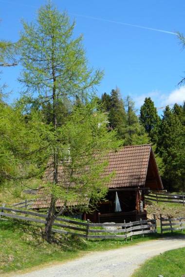 Bergheim Schmidt Almhütten im Wald Appartments an der Piste