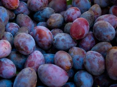 Gartenhotel & Weingut Pfeffel Dürnstein