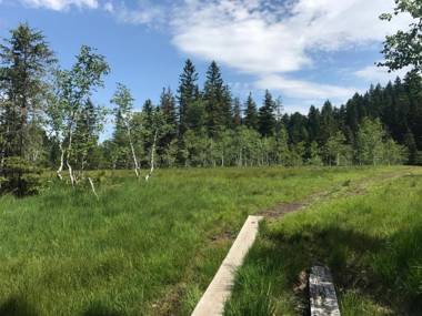 Berghof Fetz Bödele