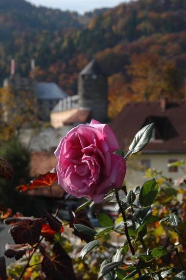 Ferienhaus Franz Kleindienst