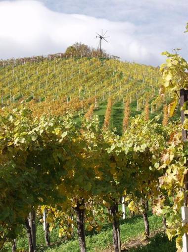 Ferienhaus Franz Kleindienst