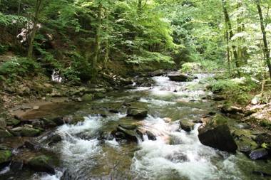 Gasthof Leibenfelderstub'n