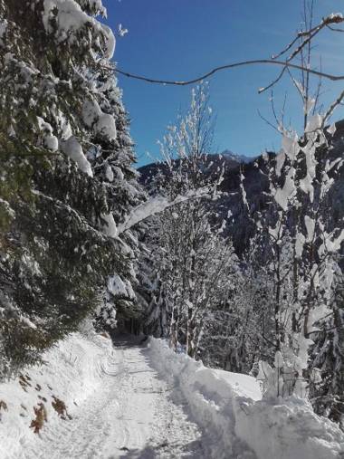 Hotel Garni Haus Anita