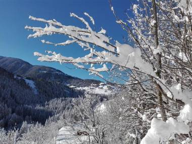 Hotel Garni Haus Anita